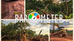 DISOROT! TANAH WARISAN 2 HEKTARE DIDUGA DISEROBOT OKNUM KEPALA LINGKUNGAN, KEBUN JAMBU METE DIRATAKAN EKSKAVATOR