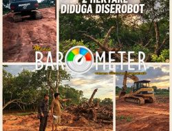 DISOROT! TANAH WARISAN 2 HEKTARE DIDUGA DISEROBOT OKNUM KEPALA LINGKUNGAN, KEBUN JAMBU METE DIRATAKAN EKSKAVATOR